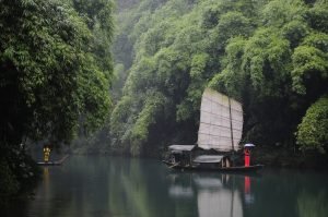 Chinesisches Horoskop für Juni